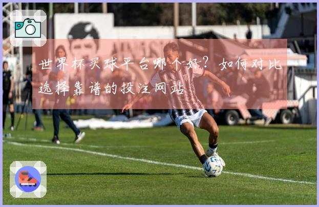 世界杯买球平台哪个好？如何对比选择靠谱的投注网站