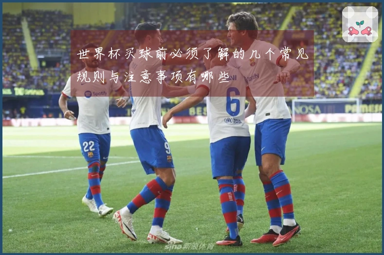 世界杯买球前必须了解的几个常见规则与注意事项有哪些