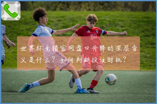 世界杯竞猜官网盘口升降的深层含义是什么？如何判断投注时机？