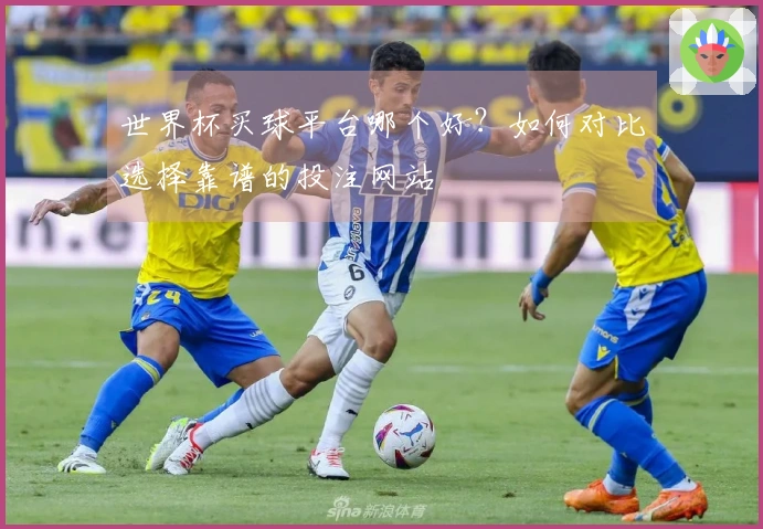 世界杯买球平台哪个好？如何对比选择靠谱的投注网站