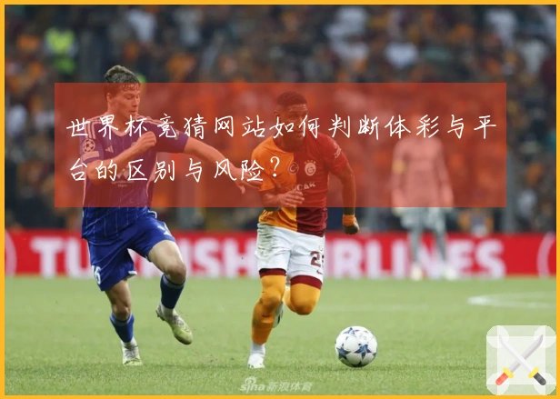 世界杯竞猜网站如何判断体彩与平台的区别与风险？